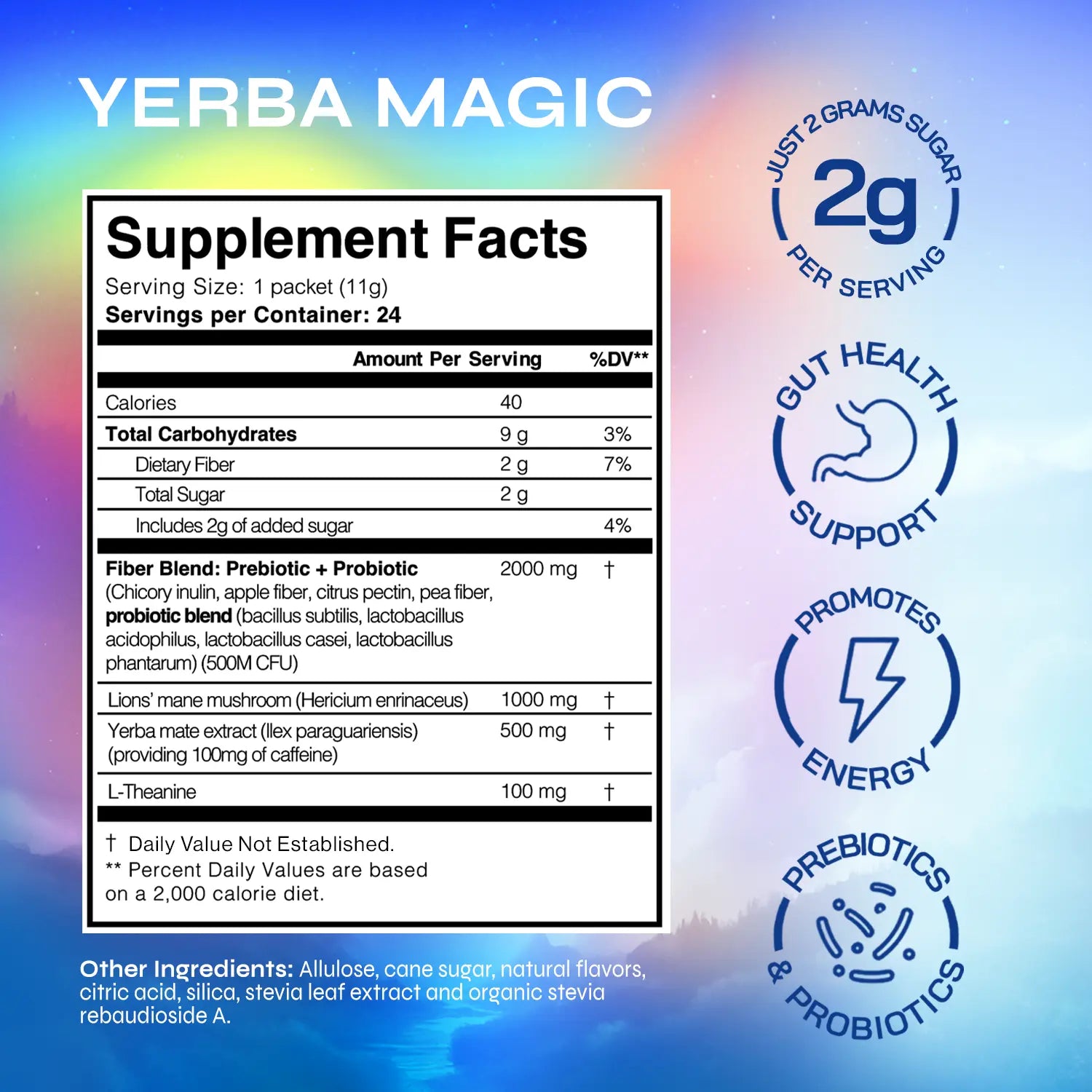 Yerba Magic 2 Pack Bundle: Variety Pack & 5-In-1 Capsules | Yerba Mate, Lion&